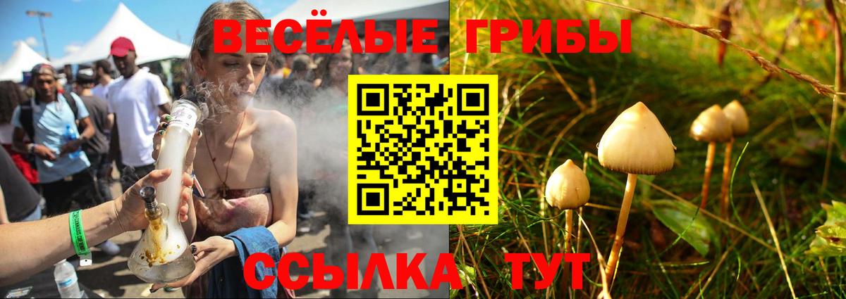 Галлюциногенные грибы мицелий Сафоново