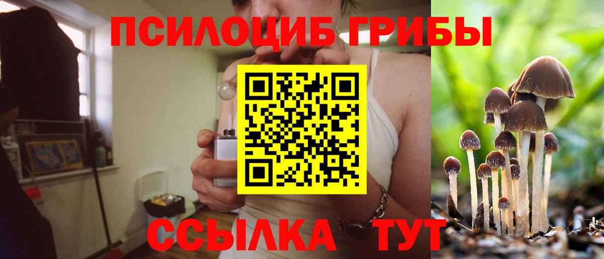Сафоново  Галлюциногенные грибы GOLDEN TEACHER  Псилоцибиновые грибы MAGIC MUSHROOMS  Вход с VPN 